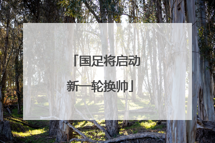 国足将启动新一轮换帅