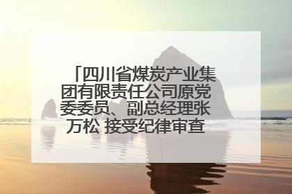 四川省煤炭产业集团有限责任公司原党委委员、副总经理张万松 接受纪律审查和监察调查
