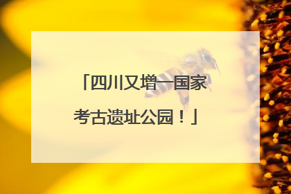 四川又增一国家考古遗址公园！