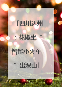 四川达州：花椒坐“智能小火车”出深山