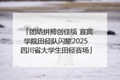 团结拼搏创佳绩 宜宾学院田径队闪耀2025四川省大学生田径赛场