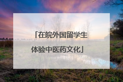 在皖外国留学生体验中医药文化