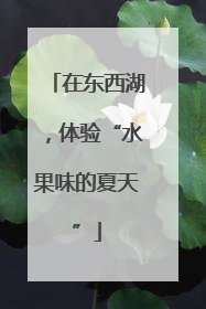 在东西湖,体验“水果味的夏天”