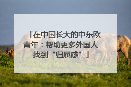 在中国长大的中东欧青年：帮助更多外国人找到“归属感”