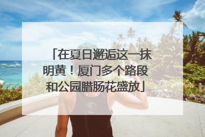 在夏日邂逅这一抹明黄！厦门多个路段和公园腊肠花盛放