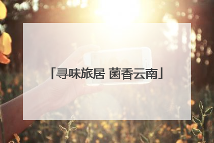 寻味旅居 菌香云南