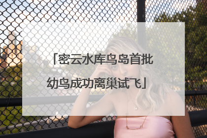 密云水库鸟岛首批幼鸟成功离巢试飞