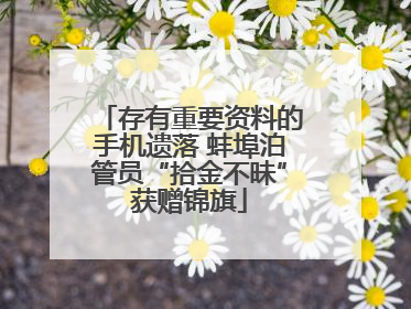 存有重要资料的手机遗落 蚌埠泊管员“拾金不昧”获赠锦旗