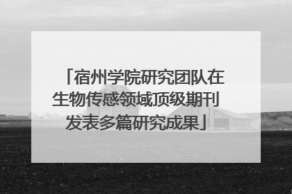 宿州学院研究团队在生物传感领域顶级期刊发表多篇研究成果