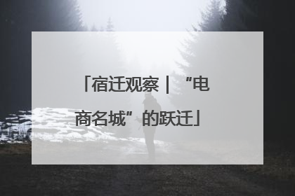 宿迁观察｜“电商名城”的跃迁