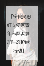 宁夏吴忠红寺堡区青年志愿者参加生态护绿行动