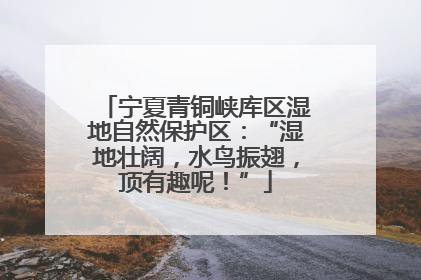 宁夏青铜峡库区湿地自然保护区：“湿地壮阔，水鸟振翅，顶有趣呢！”