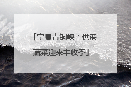 宁夏青铜峡：供港蔬菜迎来丰收季