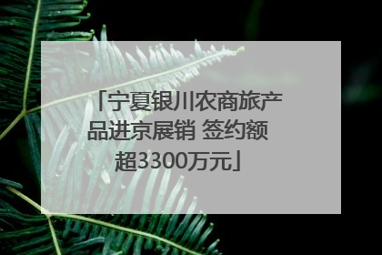 宁夏银川农商旅产品进京展销 签约额超3300万元