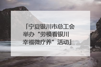 宁夏银川市总工会举办“劳模看银川 幸福微疗养”活动