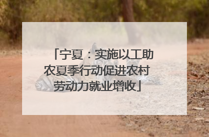 宁夏：实施以工助农夏季行动促进农村劳动力就业增收