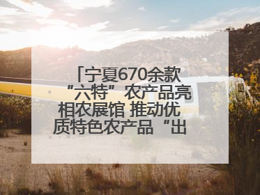 宁夏670余款“六特”农产品亮相农展馆 推动优质特色农产品“出宁进京”