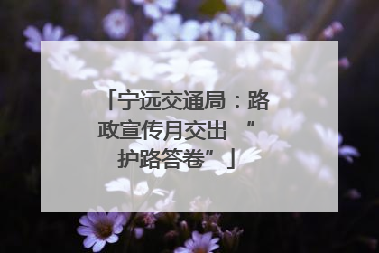 宁远交通局：路政宣传月交出 “护路答卷”