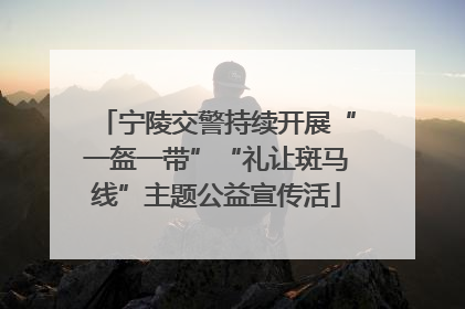 宁陵交警持续开展“一盔一带”“礼让斑马线”主题公益宣传活