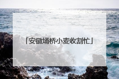 安徽埇桥小麦收割忙