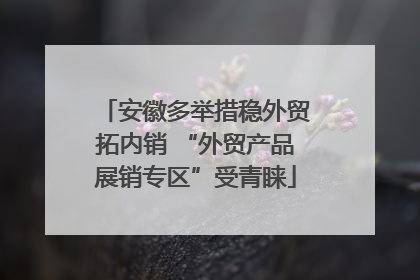 安徽多举措稳外贸拓内销 “外贸产品展销专区”受青睐