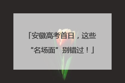 安徽高考首日，这些“名场面”别错过！