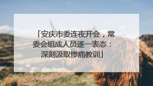 安庆市委连夜开会，常委会组成人员逐一表态：深刻汲取惨痛教训