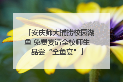 安庆师大捕捞校园湖鱼 免费宴请全校师生品尝“全鱼宴”