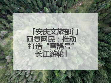 安庆文旅部门回复网民：推动打造“黄鹄号”长江游轮