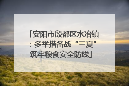 安阳市殷都区水冶镇：多举措备战“三夏” 筑牢粮食安全防线