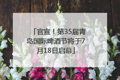 官宣！第35届青岛国际啤酒节将于7月18日启幕
