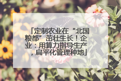 定制农业在“北国粮都”茁壮生长！企业：用算力指导生产，扁平化管理种地