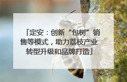 定安：创新“包树”销售等模式，助力荔枝产业转型升级和品牌打造