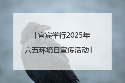 宜宾举行2025年六五环境日宣传活动