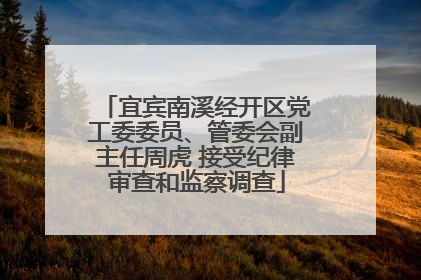 宜宾南溪经开区党工委委员、管委会副主任周虎 接受纪律审查和监察调查