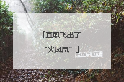 宜职飞出了“火凤凰”
