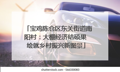 宝鸡陈仓区东关街道南阳村：大棚经济结硕果 绘就乡村振兴新图景
