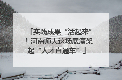 实践成果“活起来”！河南师大这场展演架起“人才直通车”