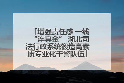 增强责任感 一线“淬真金” 湖北司法行政系统锻造高素质专业化干警队伍