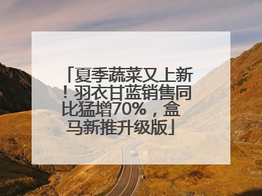 夏季蔬菜又上新！羽衣甘蓝销售同比猛增70%，盒马新推升级版