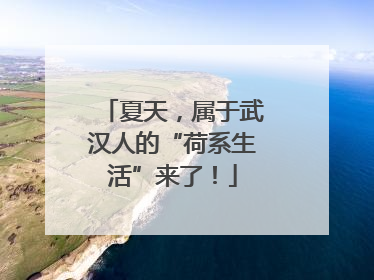 夏天，属于武汉人的“荷系生活”来了！