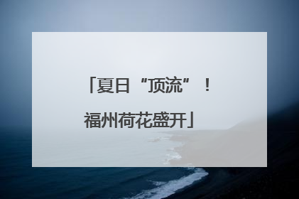 夏日“顶流”！福州荷花盛开