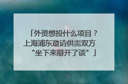 外资想投什么项目？上海浦东邀请供需双方“坐下来掰开了谈”
