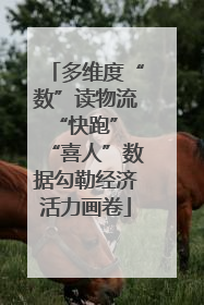 多维度“数”读物流“快跑” “喜人”数据勾勒经济活力画卷