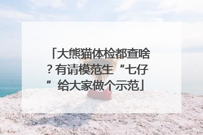 大熊猫体检都查啥？有请模范生“七仔”给大家做个示范