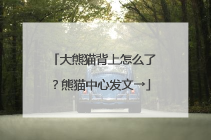 大熊猫背上怎么了？熊猫中心发文→