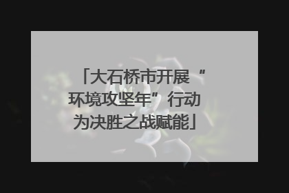 大石桥市开展“环境攻坚年”行动为决胜之战赋能
