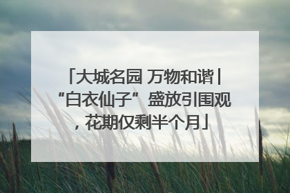 大城名园 万物和谐│“白衣仙子”盛放引围观，花期仅剩半个月