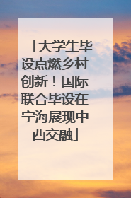 大学生毕设点燃乡村创新！国际联合毕设在宁海展现中西交融