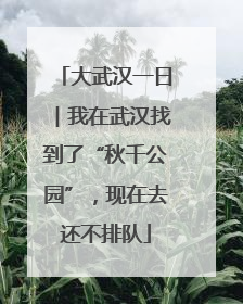大武汉一日︱我在武汉找到了“秋千公园”，现在去还不排队